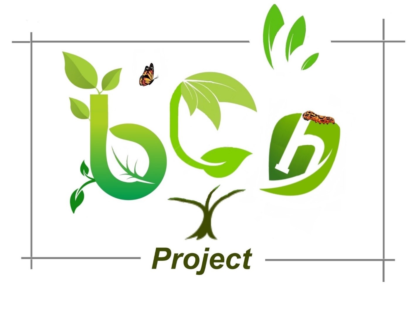 BCH Logo